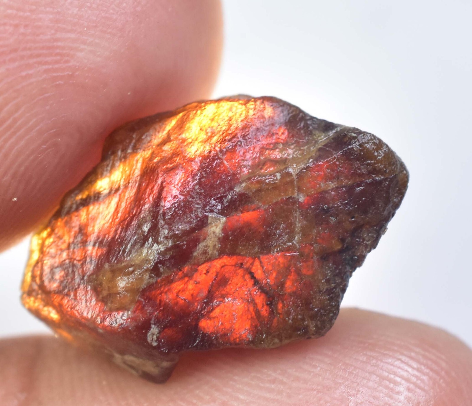 14.85 Ct Natural Hessonite Orange Garnet Certified Untreated Facet Loose Rough