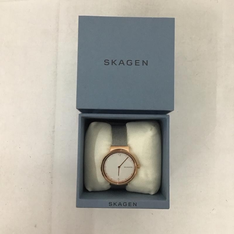 SKAGEN Analog (Quartz) Watch Watch Analog (Quartz) SKW2616 with Box Used 2ND Use