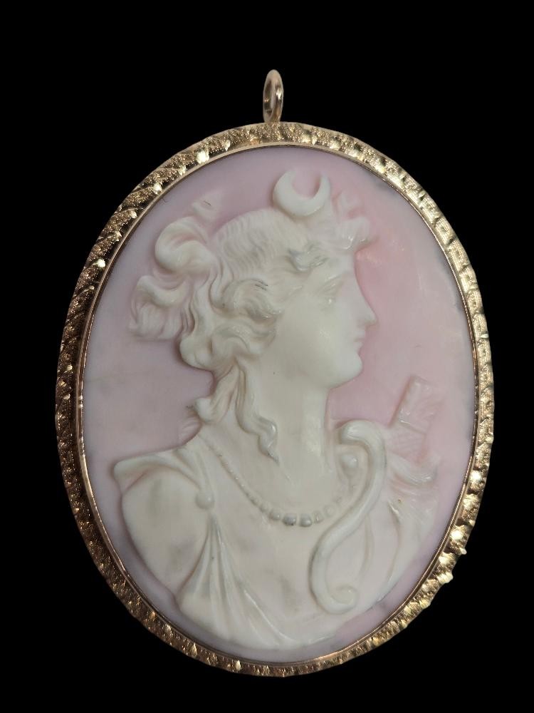 Cameo Gold-Stone Brooch 10K Yellow Gold 8.3dwt (MP1042620)