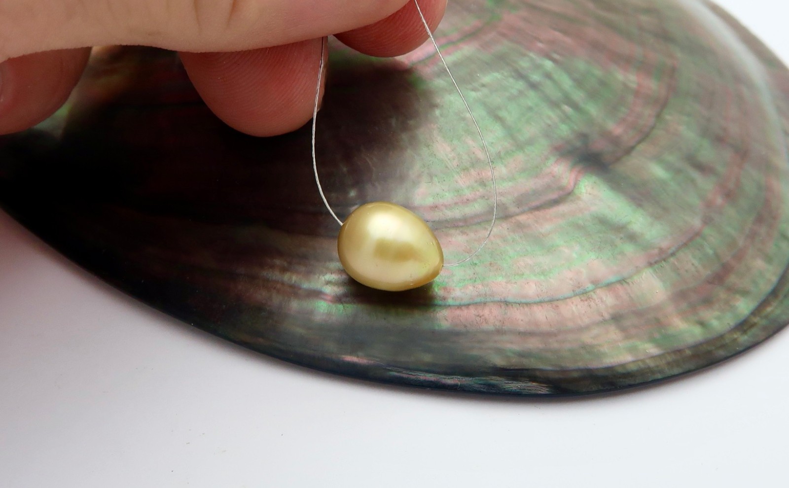 RARE EXOTIC GENUINE METALLIC GOLD SOUTH SEA PHILIPPINES CULTURED AA+ PEARL-10mm