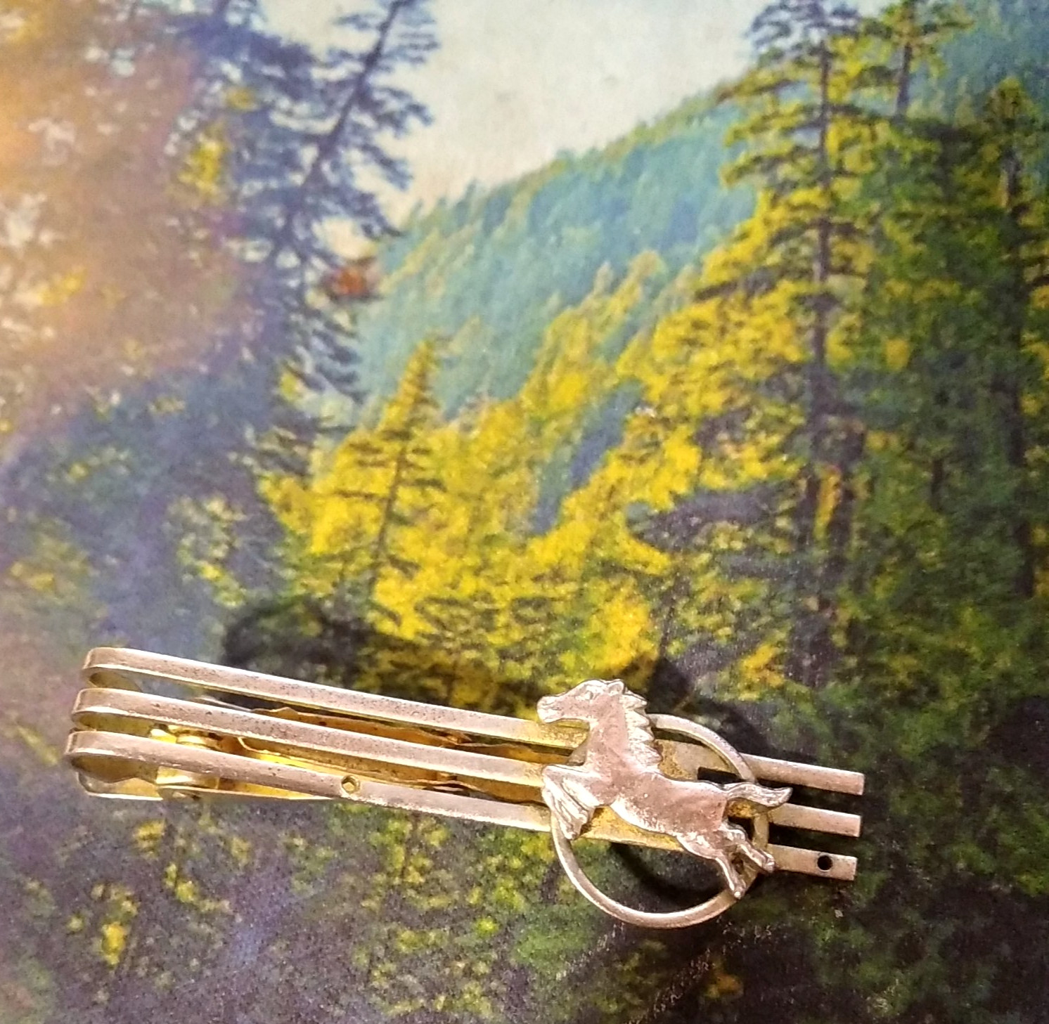 Vintage Tie Bar Tie Clip Horse USSR Ukraine Soviet 1950s