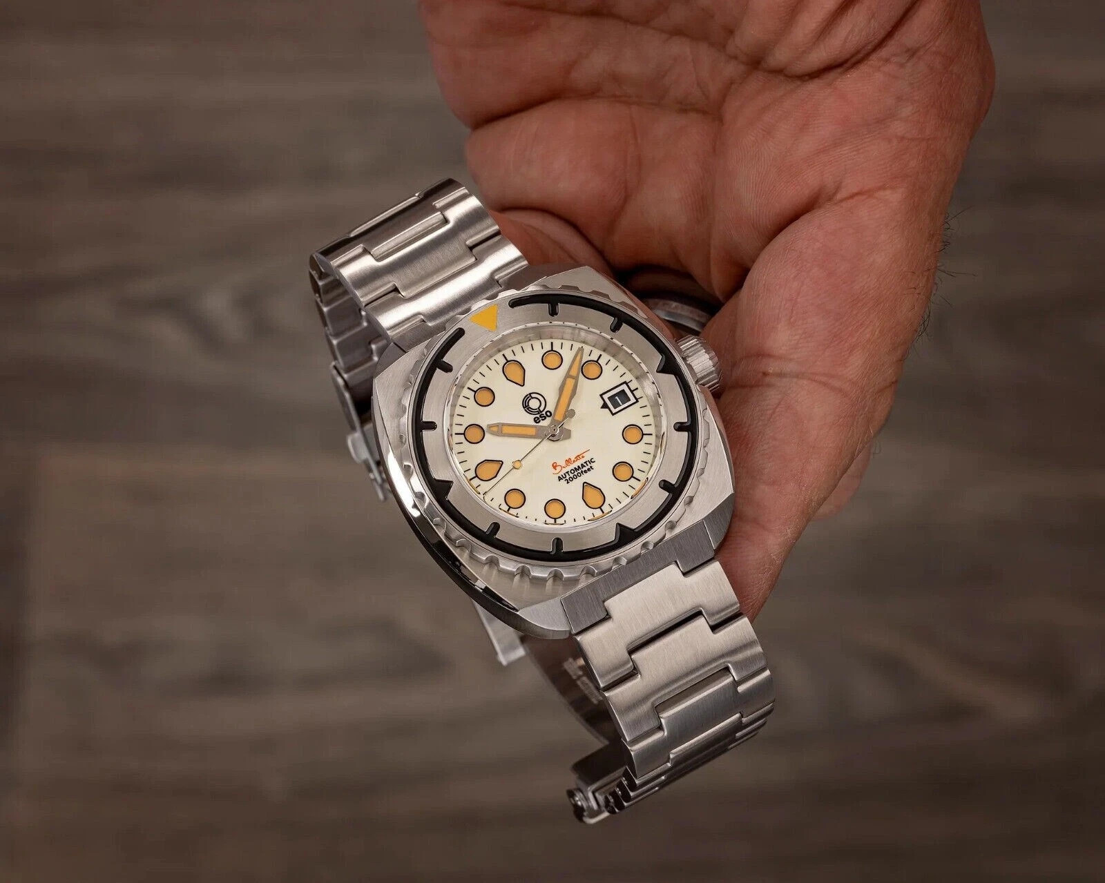 New Esoteric Bathyal Full Lume 44mm Automatic 9015 Sapphire 600m Diver SS Watch