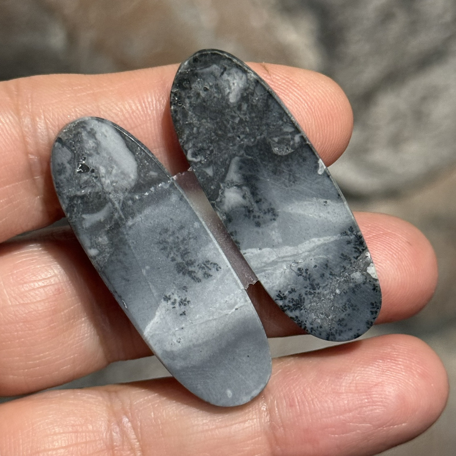 62ct 42x15x4.5mm Pair Fine Gray Scenic Oval Picture Maligano Jasper Cabochons