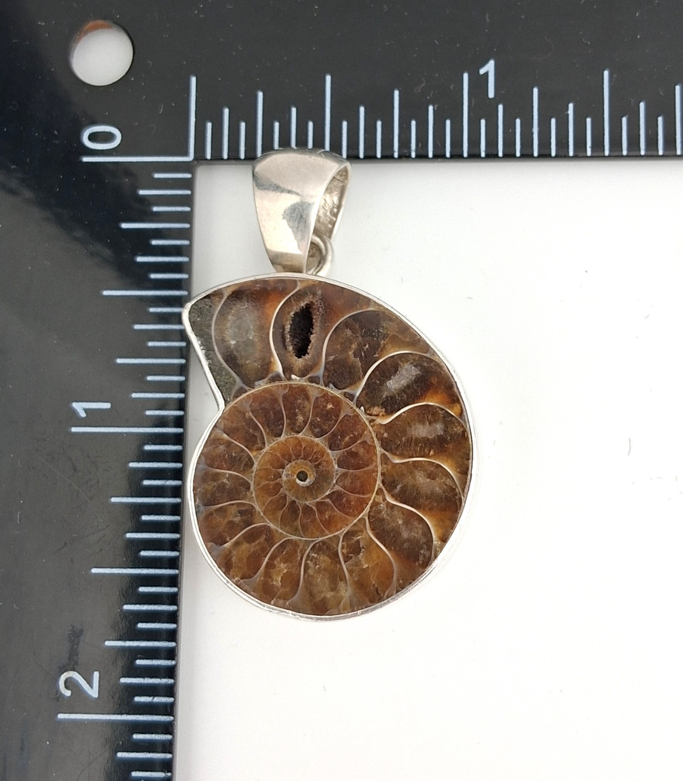 Charles Albert 950 Fine Sterling Silver Ammonite Fossil Pendant Nice Thick 14g