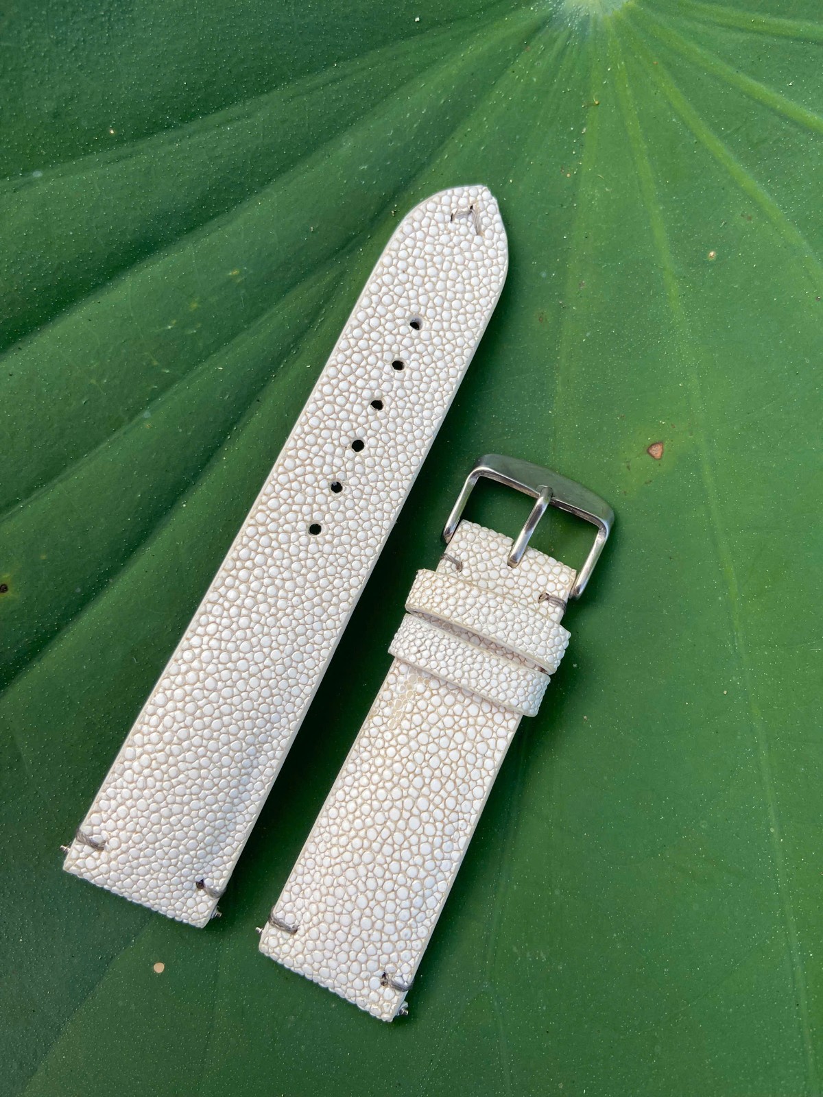 White Stingray Leather Watch Strap Band, Size 18mm 19mm 20mm 21mm 22mm 24mm 26mm