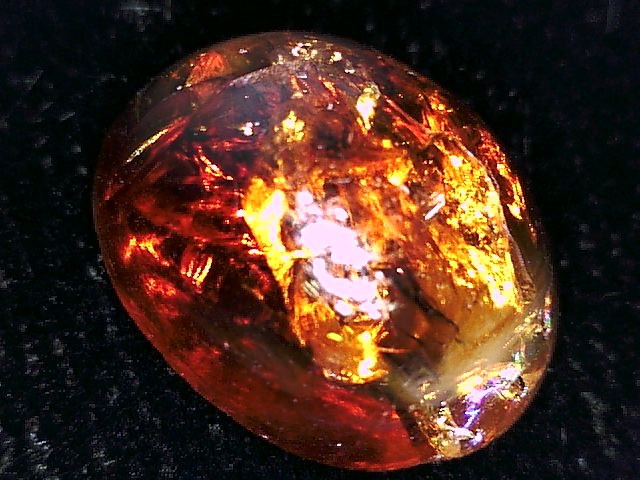 Amber Cabochon Excellent Quality (7.21mm x 10.13mm) 3.40ct