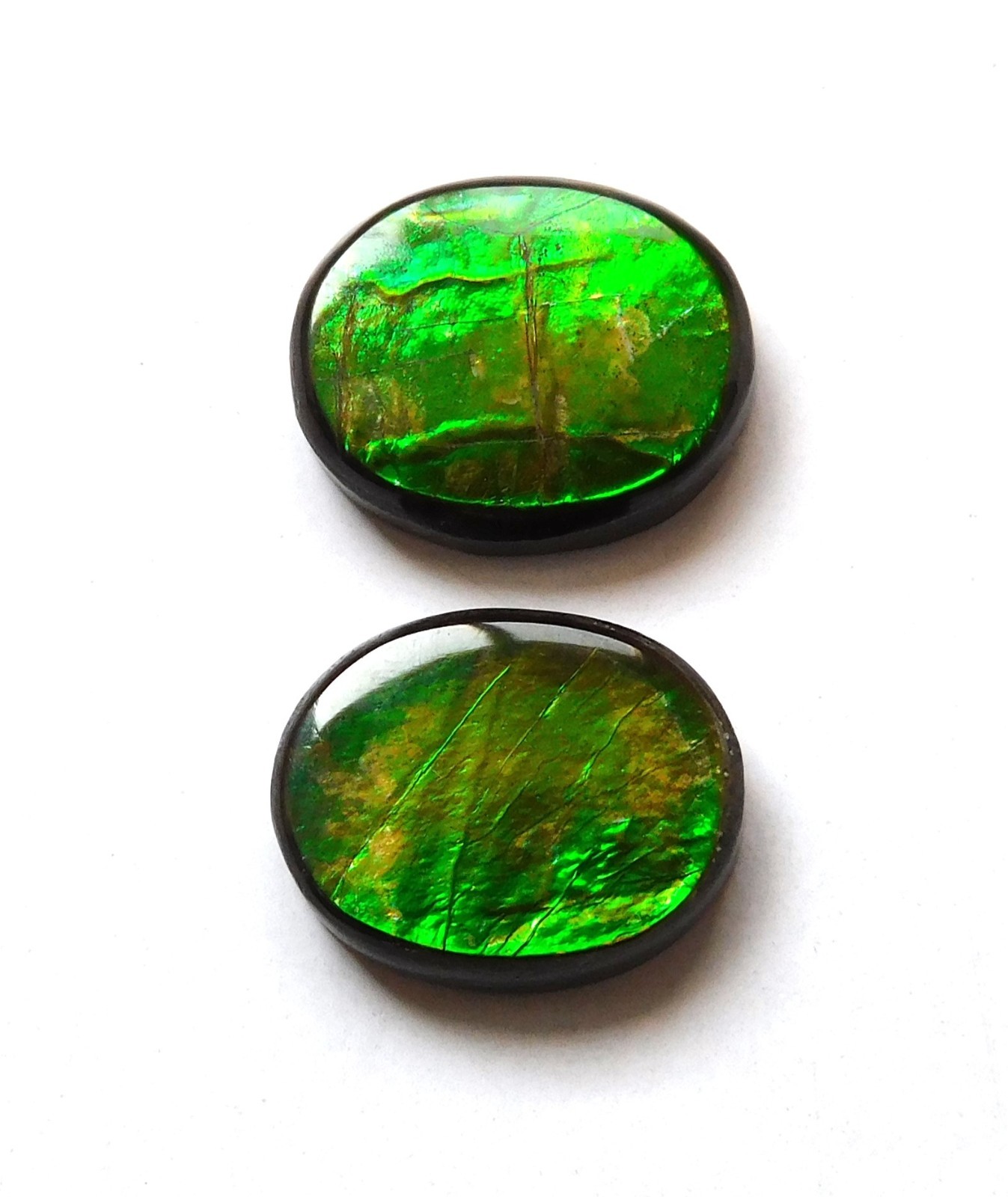 6.45 Cts Natural Ammolite (11mmx8.9mm each) Loose Cabochon Match Pair JC52