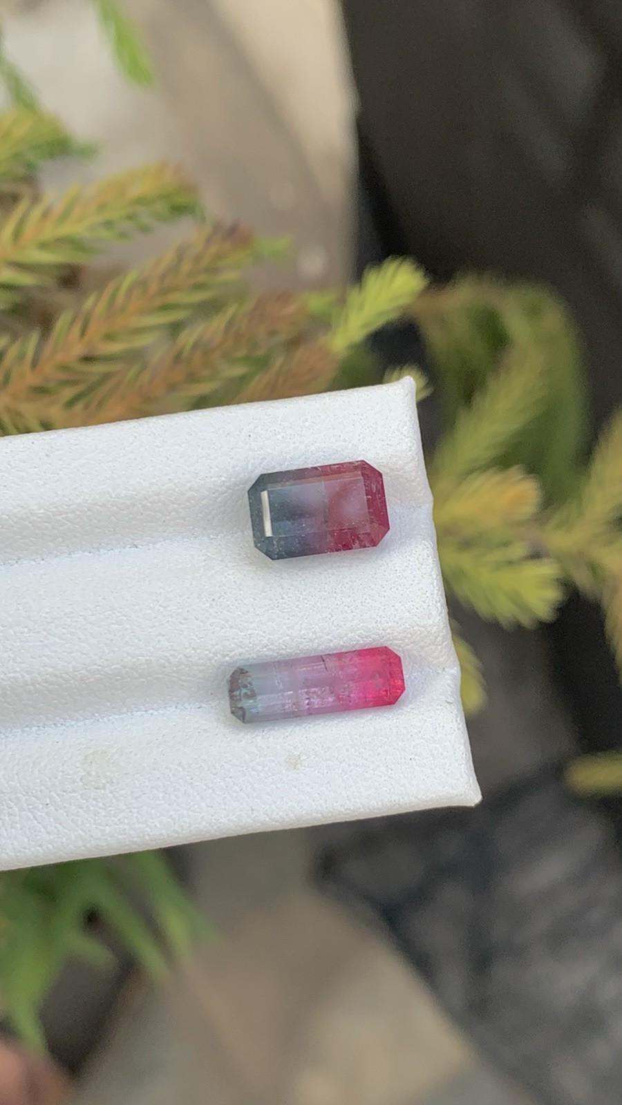 5.67 CRT Bicolor Tourmaline Natural Earth Mined Unheated Faceted