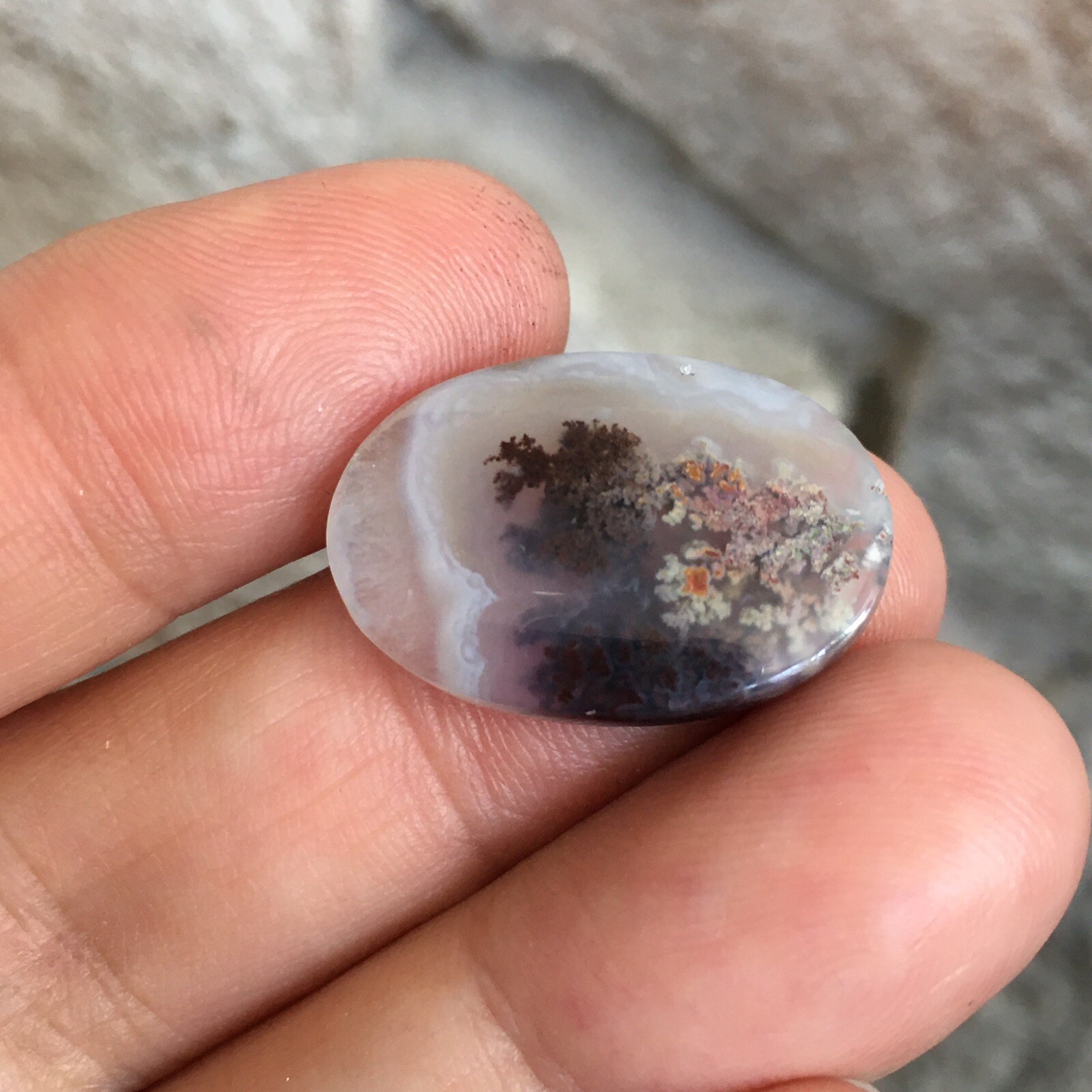 23.3×15.7x5mm Fine Silver Garden Moss Agate Oval Cabochon Loose Picture Stone