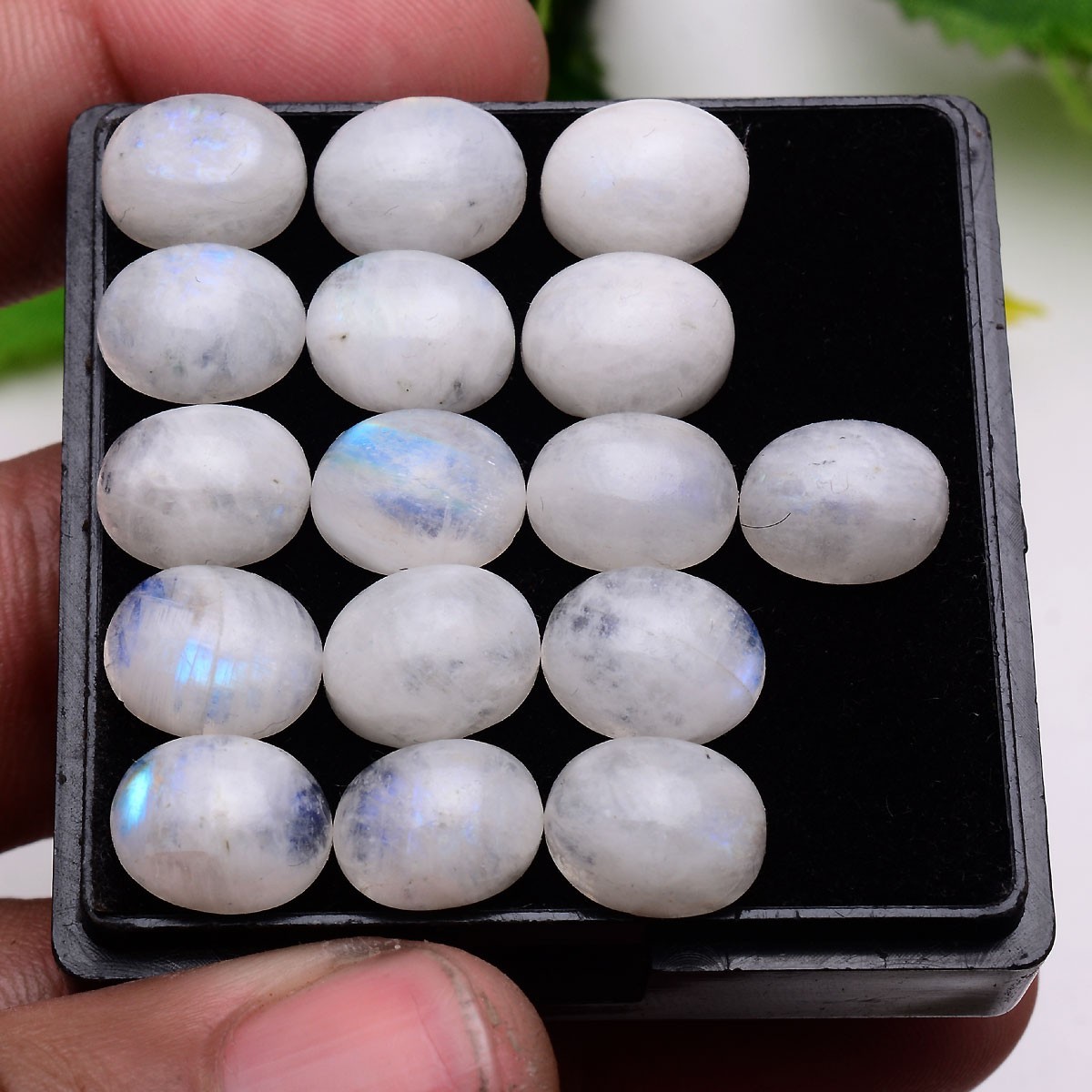 16 Pcs Natural Blue Shine Moonstone 11mmx9mm Oval Cabochon Untreated Gemstones