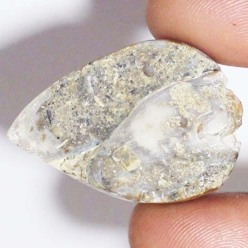 100% Natural Fossil Snail Druzy Agate Fancy Cabochon Gemstone 95.40CT 28x40x15mm