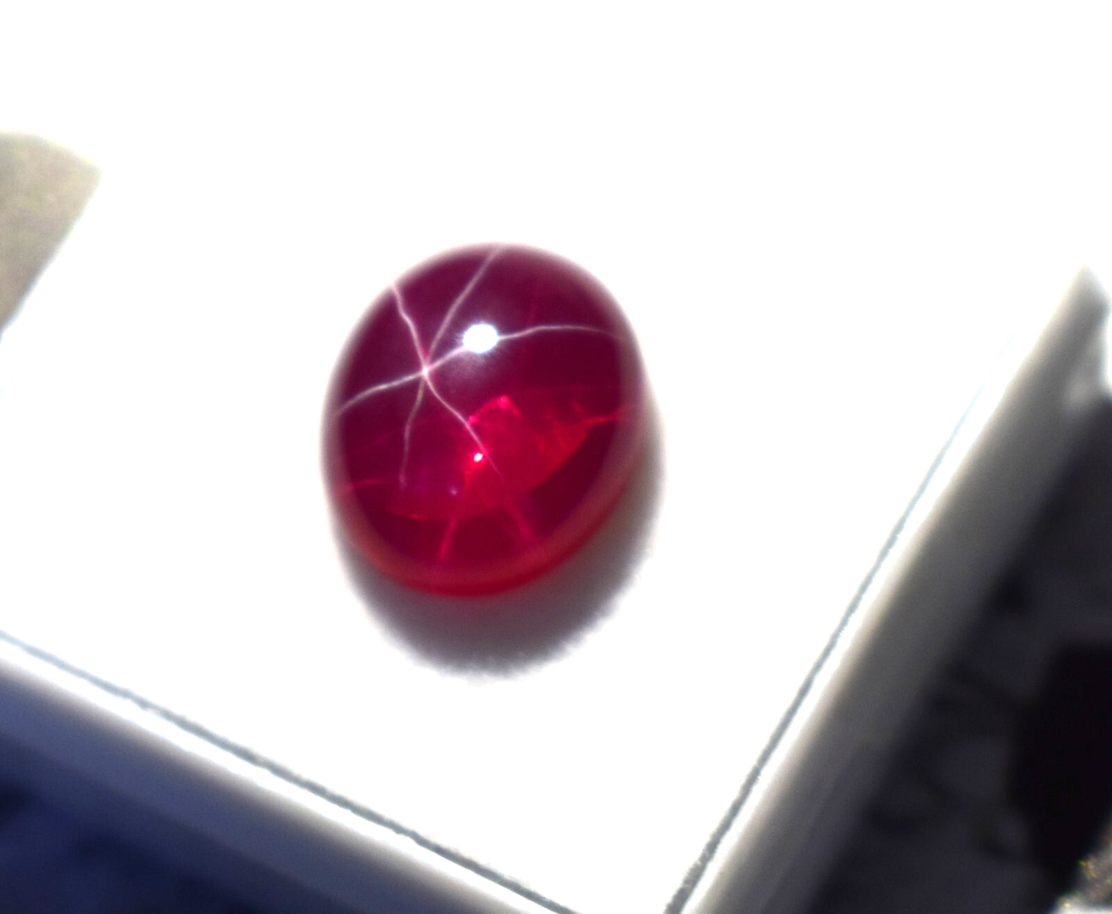 Certified Oval Cabochon 5.75 Ct Natural 6 Rays Red Star Ruby Loose Gemstone