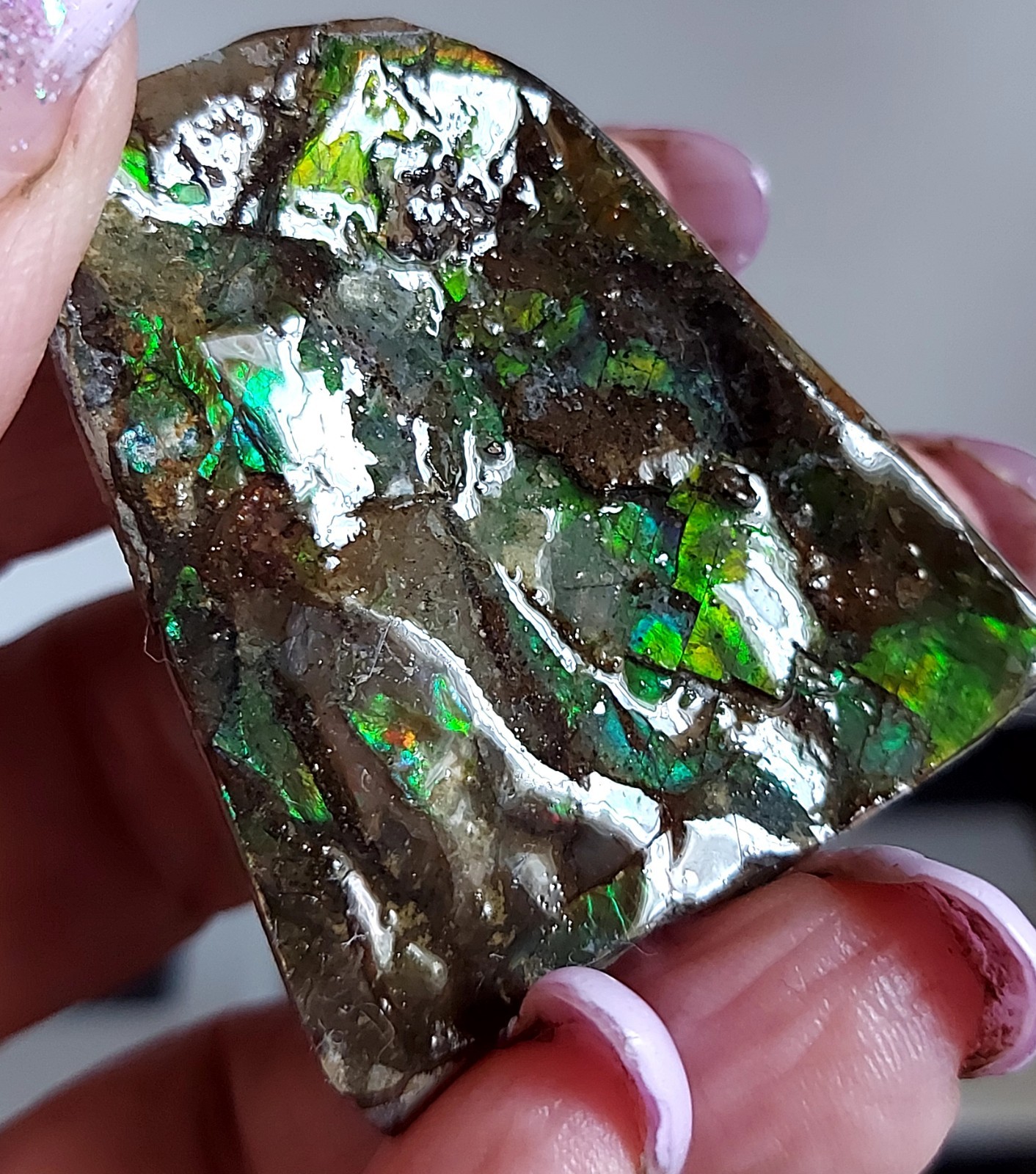 Ammolite Ammonite tabletop Display Piece 45.4×39.2x21mm 2843