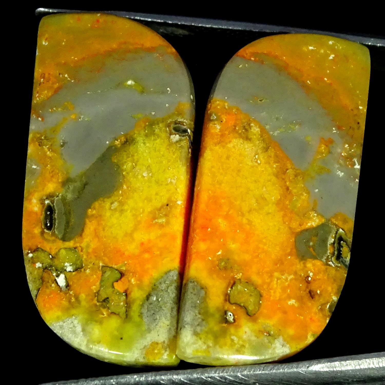25.40Cts Natural Bumble Bee Jasper Pair Fancy Cabochon Gemstone 14X32X3MM