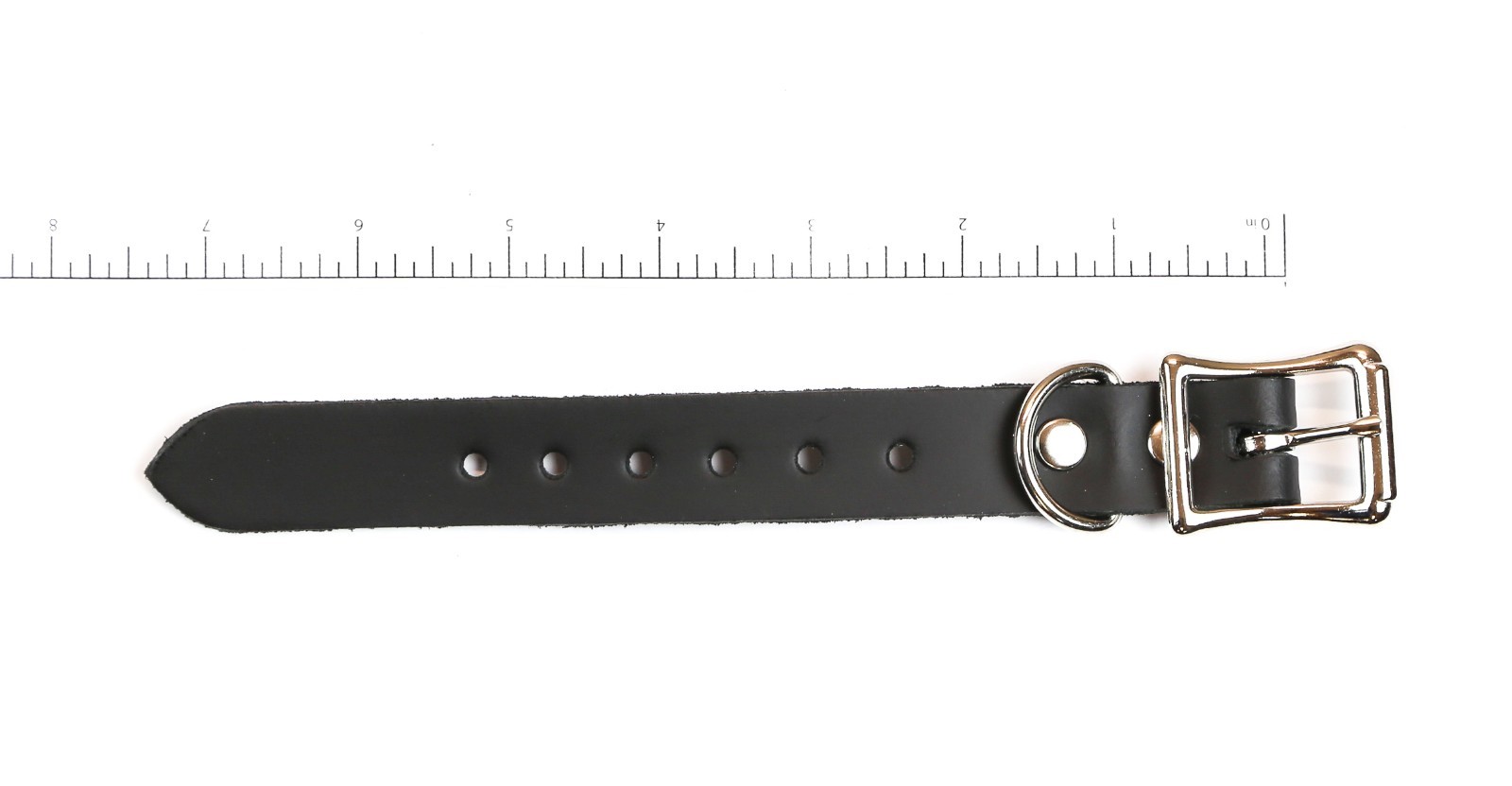 Choker Belt Extender Extension Collar Necklace Leather Buckle 5 Size