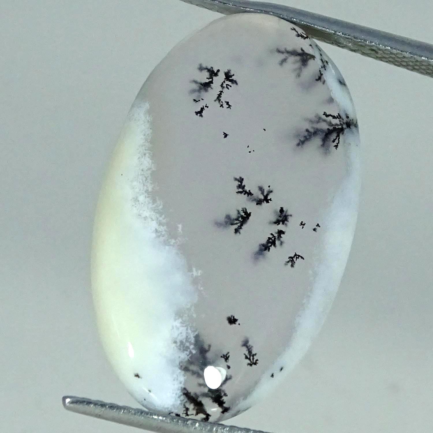 13.90Cts. RARE Natural Dendrite Opal Oval Cabochon Gemstone 16X26X5MM