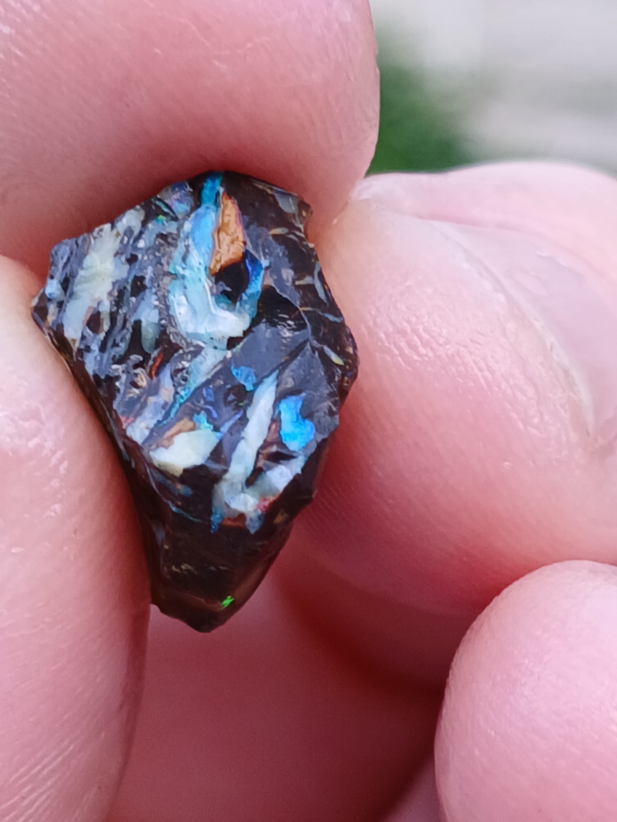 Australia Boulder Opal Koroit R313 Specimen 11 Carat Blue Green