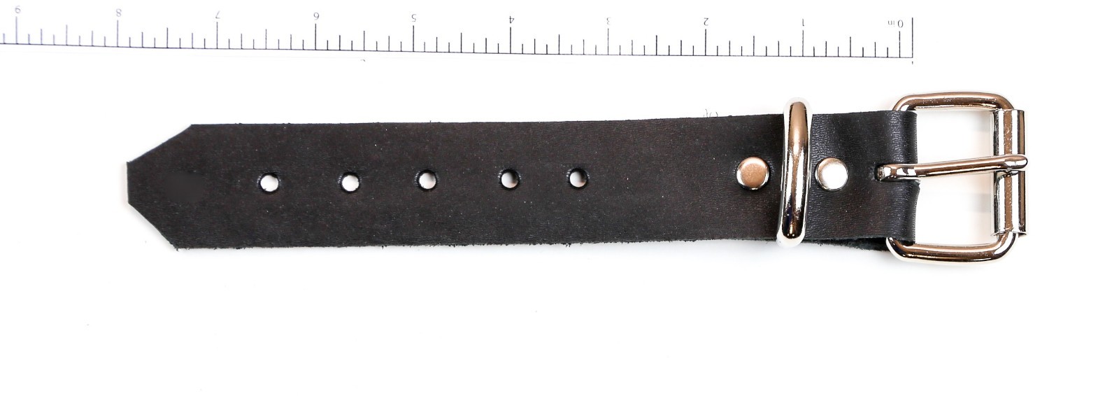 Choker Belt Extender Extension Collar Necklace Leather Buckle 5 Size