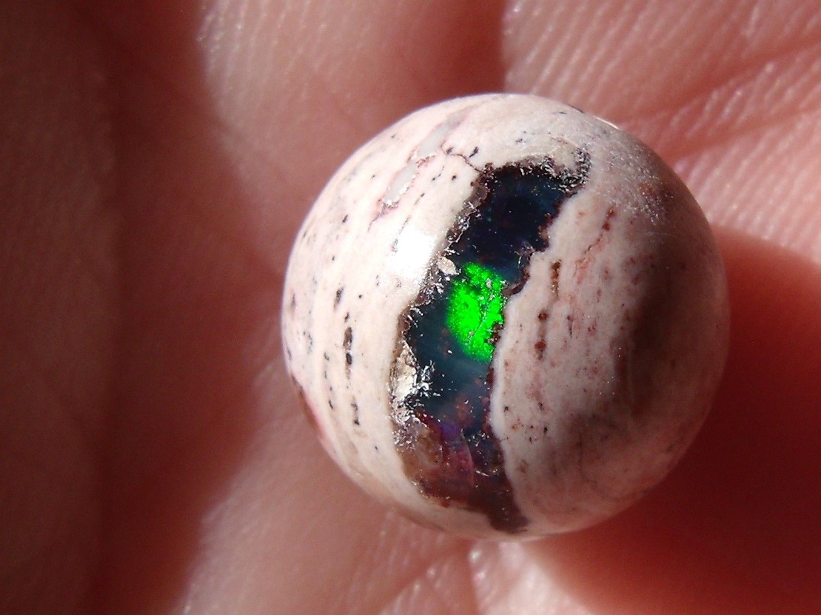 7.71 Ct. Mexican Cantera fire opal bead