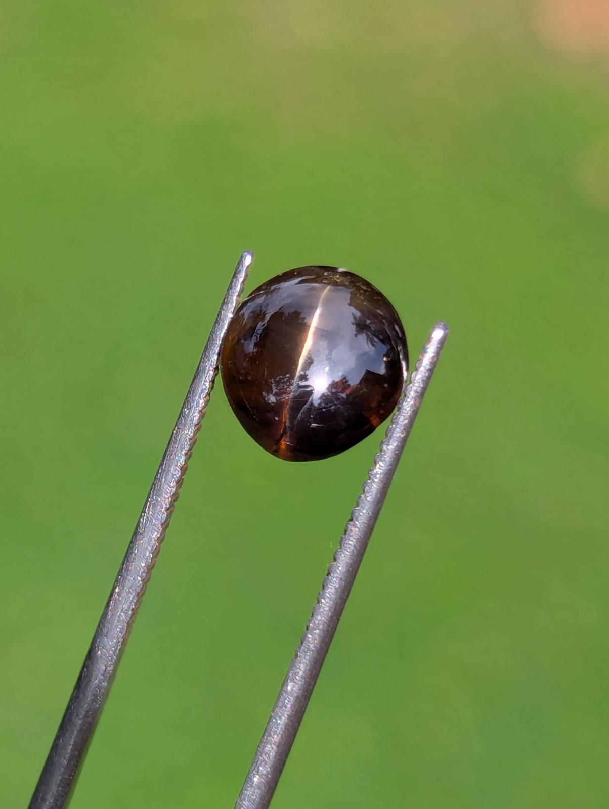Natural Chrysoberyl Cat’s Eye 3.19ct | CSL Certified | Brown | No Treatment