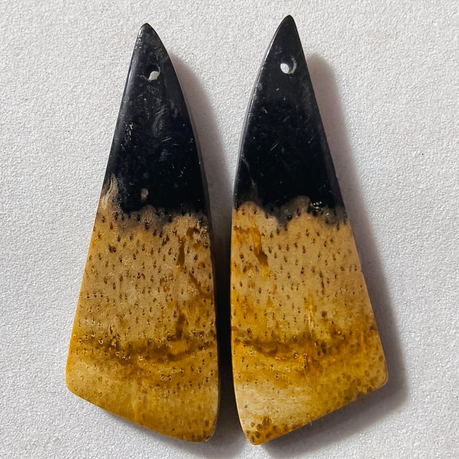 25 Cts Natural Fossilized Palm Root Drilled Pair Cabochon Gemstone 37.3X13.7 MM