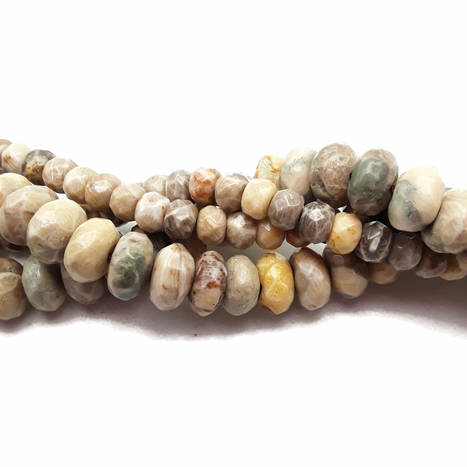 Natural Fossil Coral Faceted Rondelle Beads 4x6mm 6x10mm 15.5″ Strand