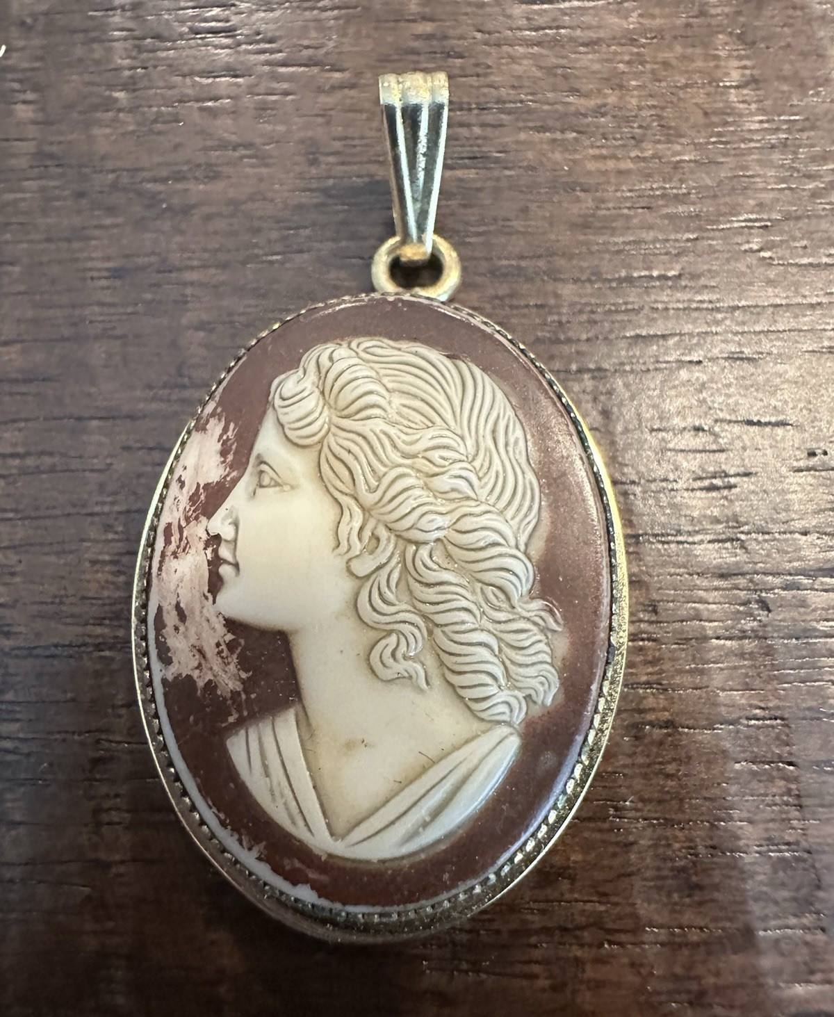 Oval Cameo Pendant Charm Brown & Ivory Profile Portrait Bezel Set