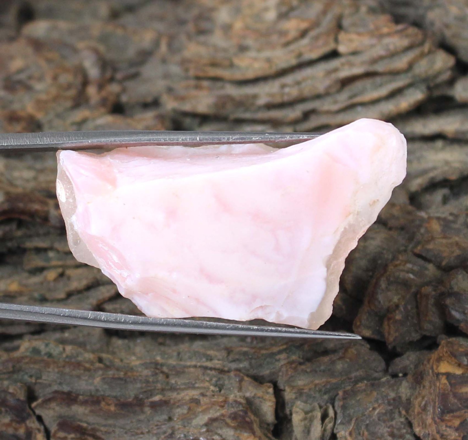 41.25 Carat Certified Natural Peru Pink Opal Thanksgiving Gemstone Rough T33066