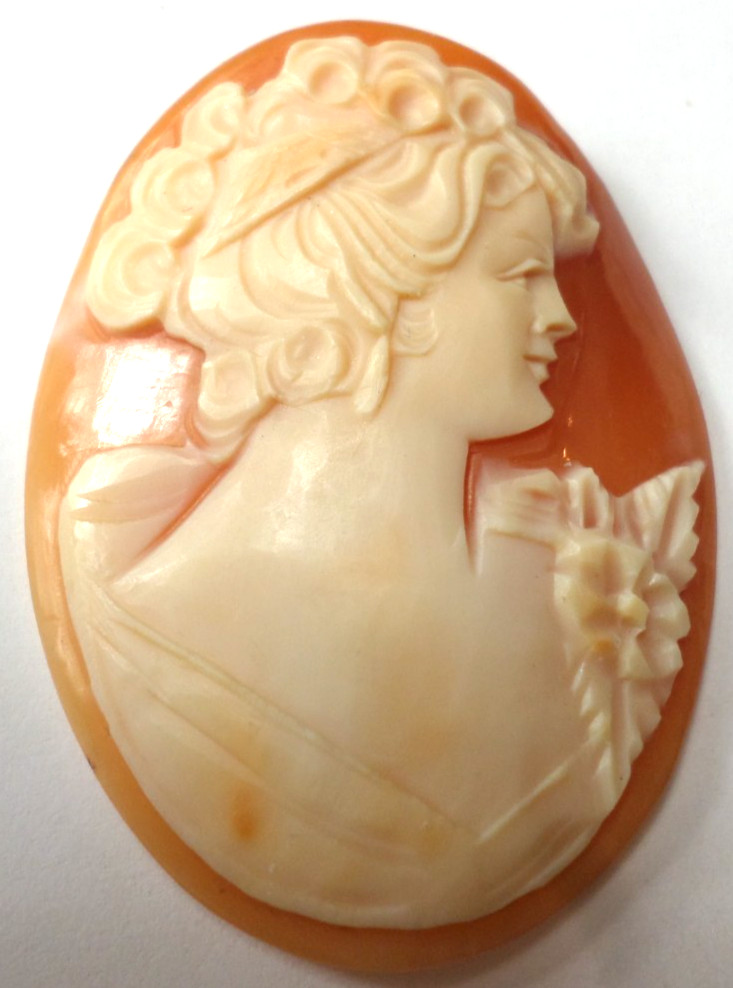 6 Vintage Loose Hand Carved Shell Women L-XL Classic Cameos 45×33 to 30x23mm