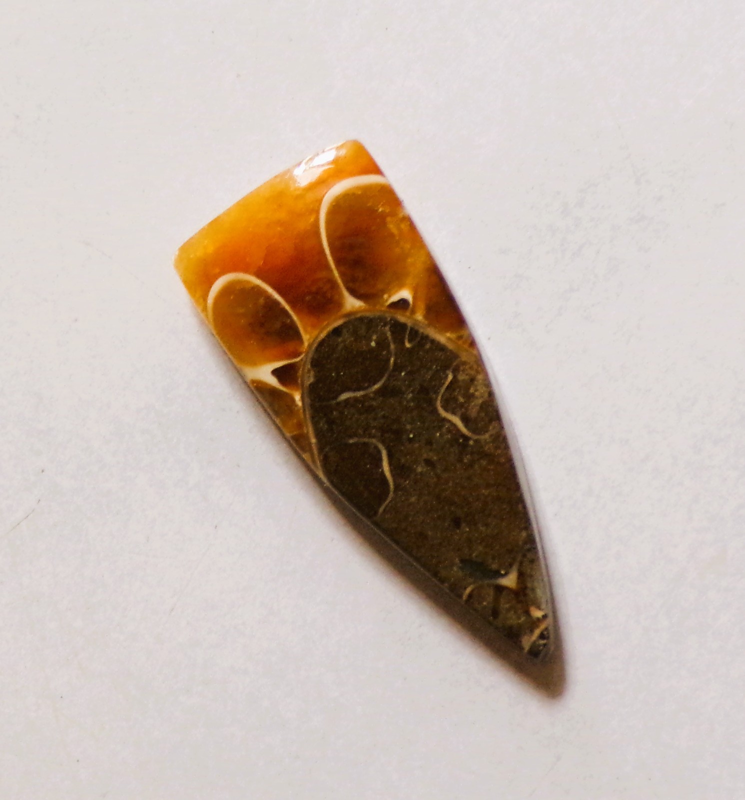 13.45 Cts Natural Ammonite Cabochon Loose Gemstone 26.6X11X5MM DE-02