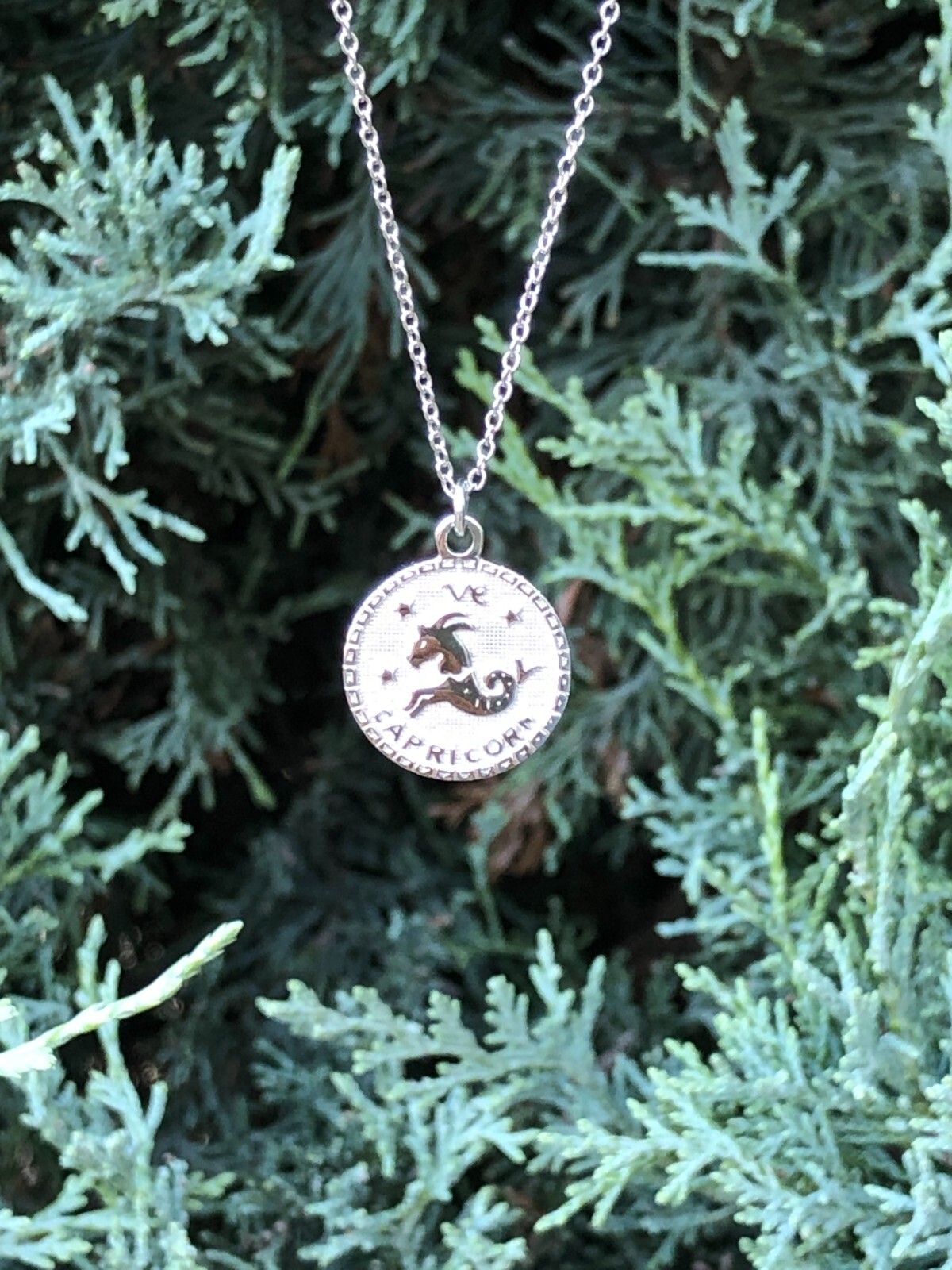 925 Sterling Silver Round Zodiac Capricorn Pendant Necklace Women 15mm 16-18″