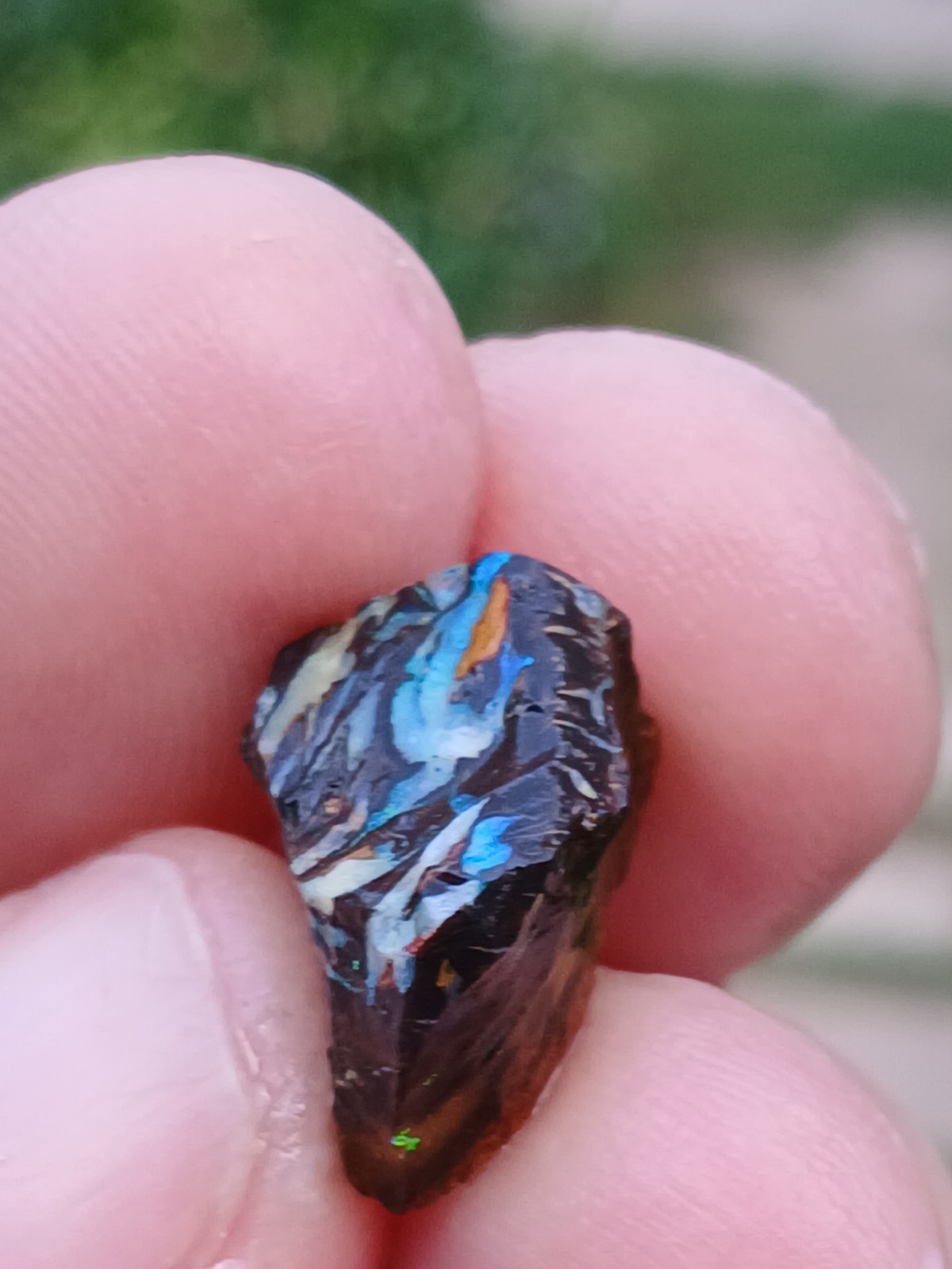 Australia Boulder Opal Koroit R313 Specimen 11 Carat Blue Green