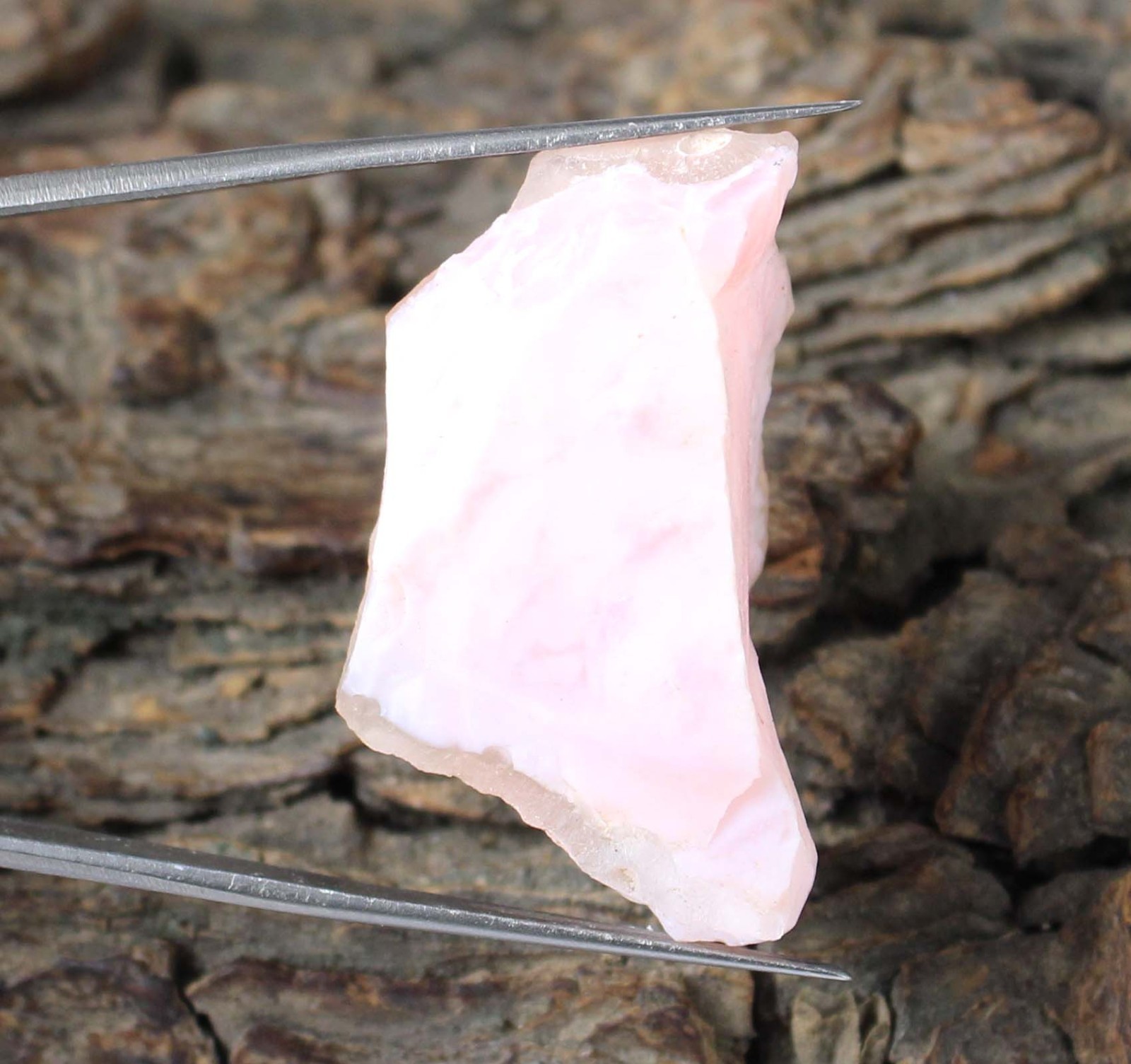 41.25 Carat Certified Natural Peru Pink Opal Thanksgiving Gemstone Rough T33066
