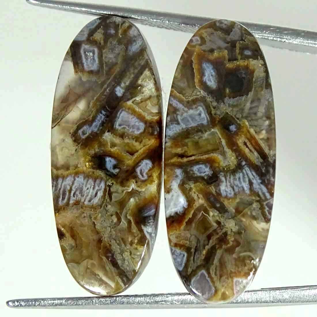 20.50Cts Natural Turkey Stick Agate Oval Pair Cabochon Loose Gemstone