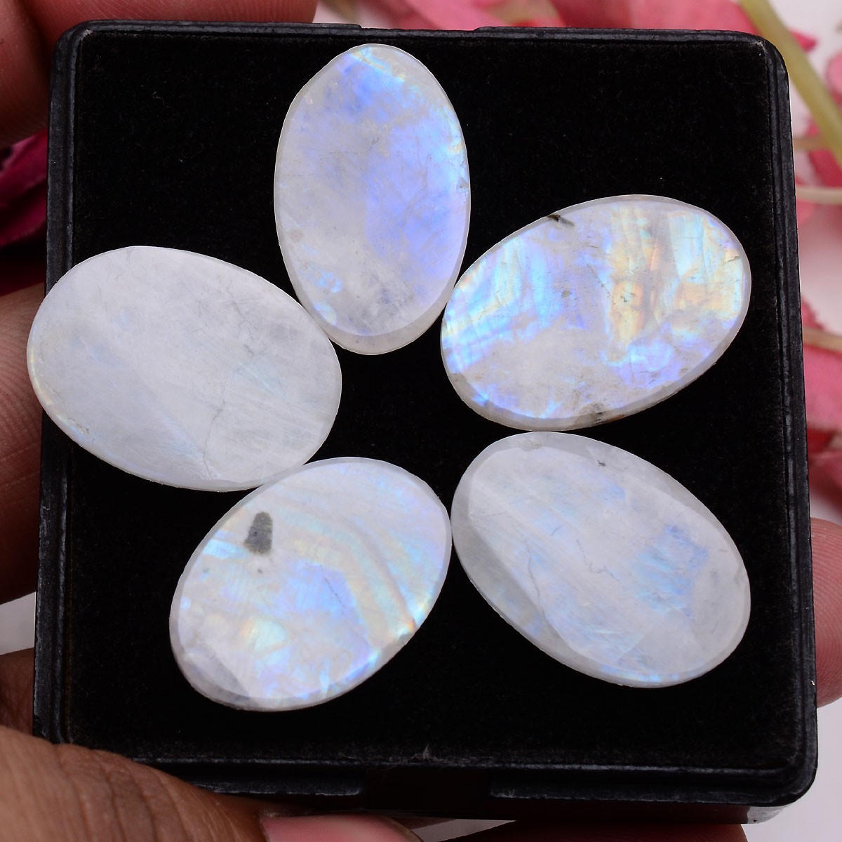 5 Pcs Natural Rainbow Moonstone 23mm-25mm Oval Cabochon Untreated Huge Gemstones