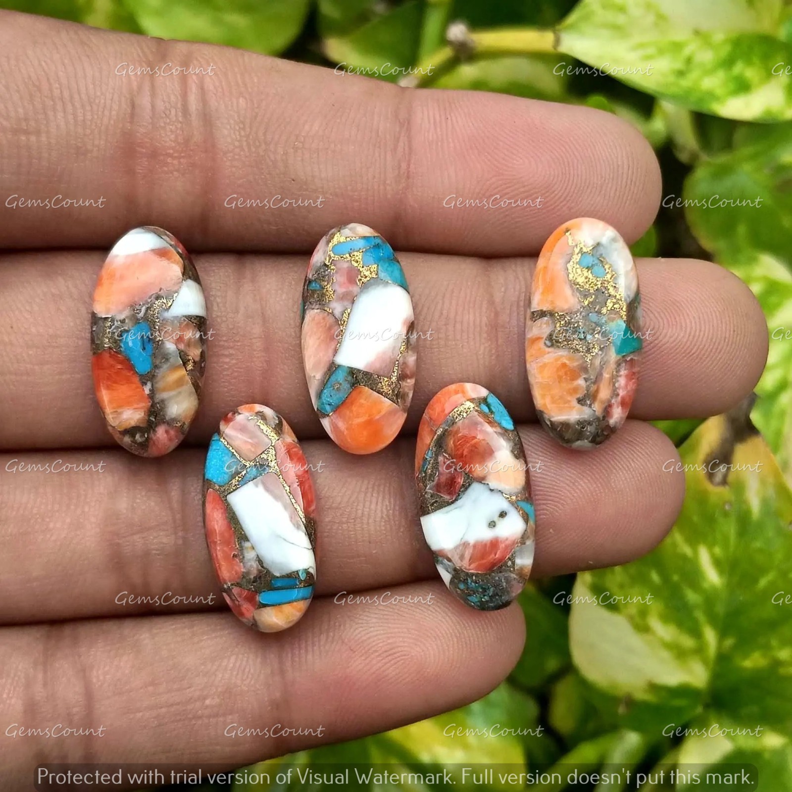 Natural Oyster Turquoise Long Oval Polished Cabochon Gemstone 5x10mm-15x30mm