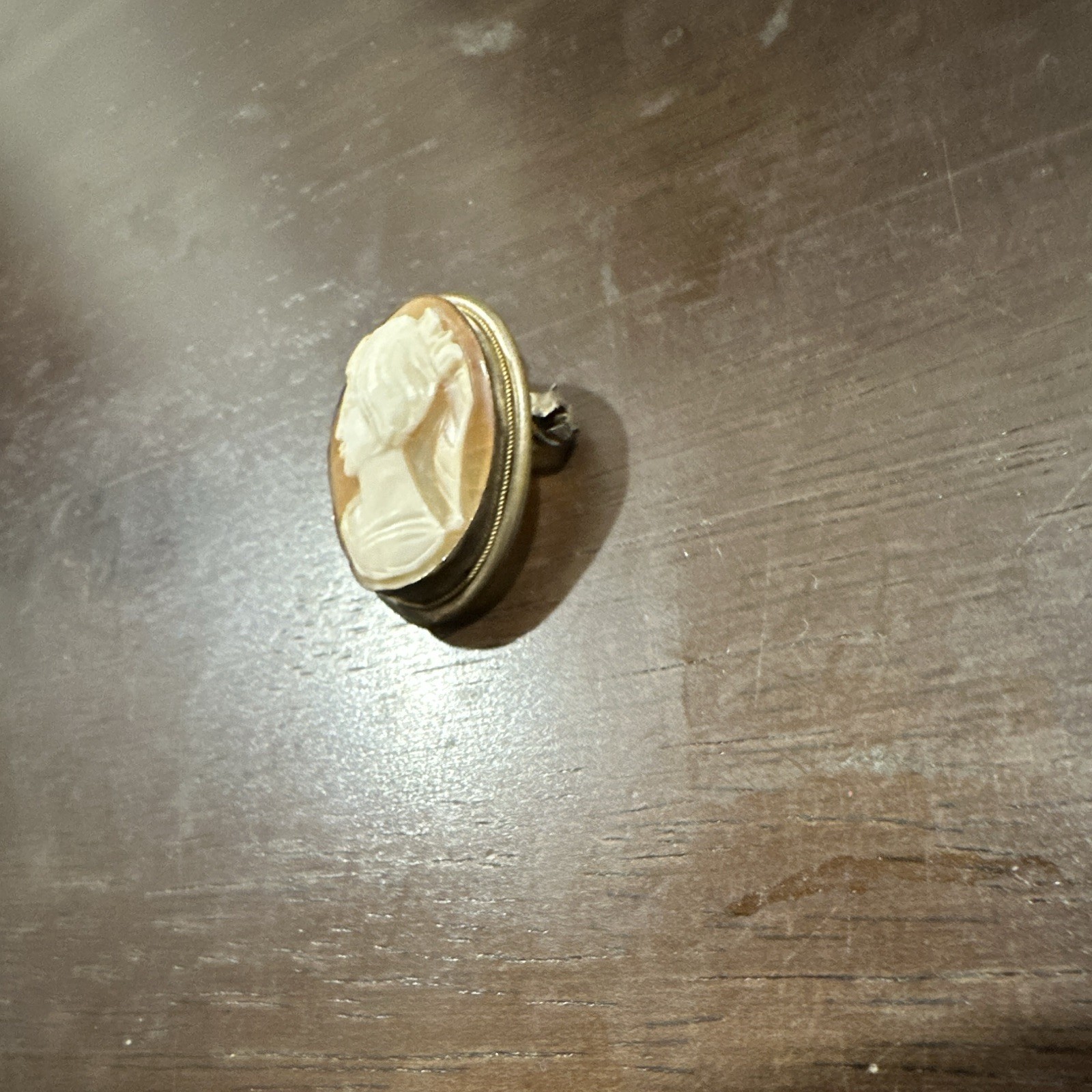 Oval Cameo Portrait Brooch Pin, Gold Tone Beige, Bezel Setting P.A.800