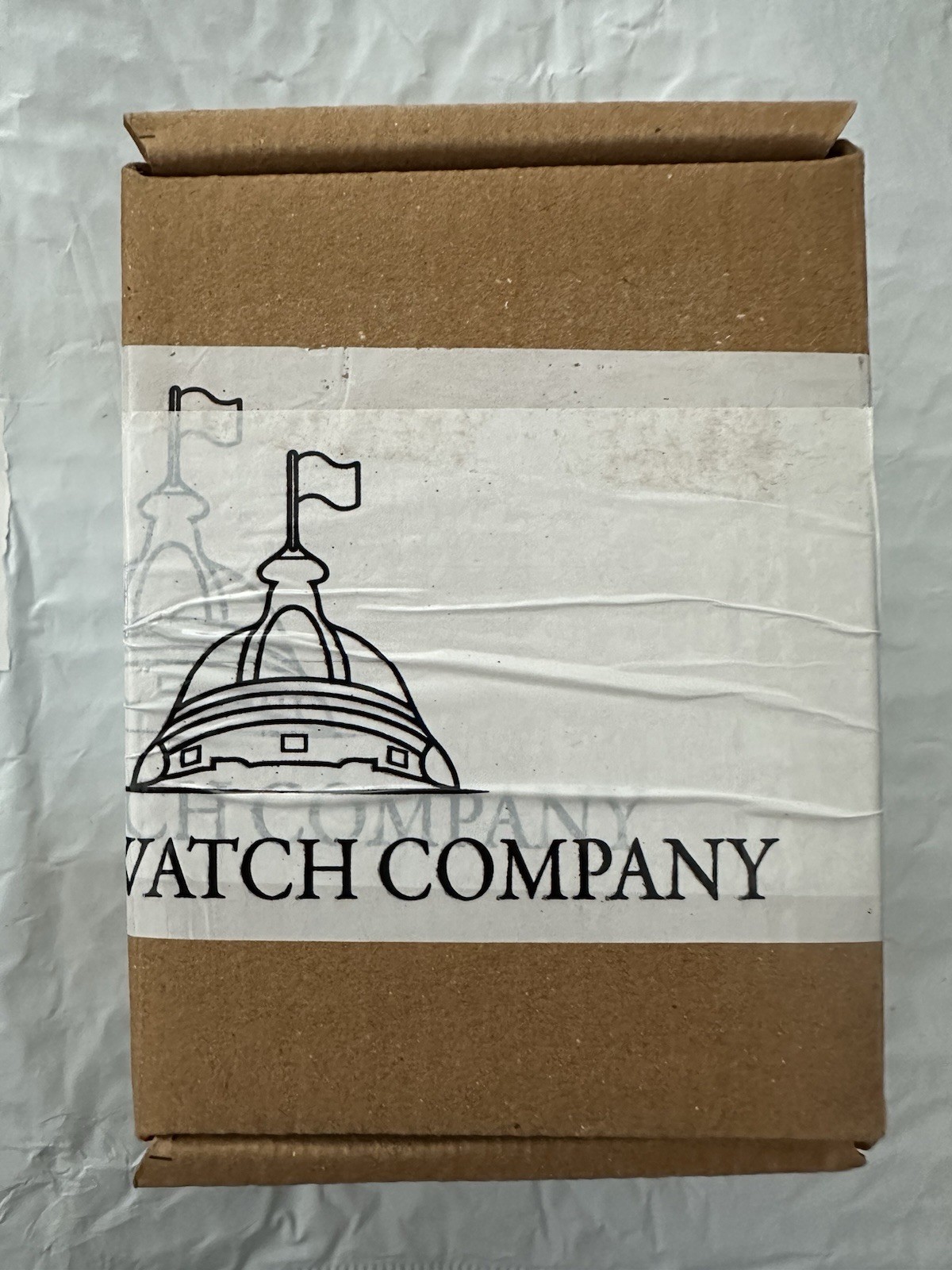 DWC Terra – SANDBLASTED Stainless Steel- Delhi Watch Company – RARE, IN HAND