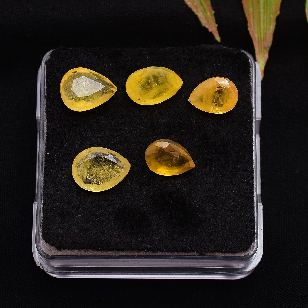 5 Pcs Natural Yellow Sapphire 7.90mm-8.96mm Ring Size Beautiful Loose Gemstones