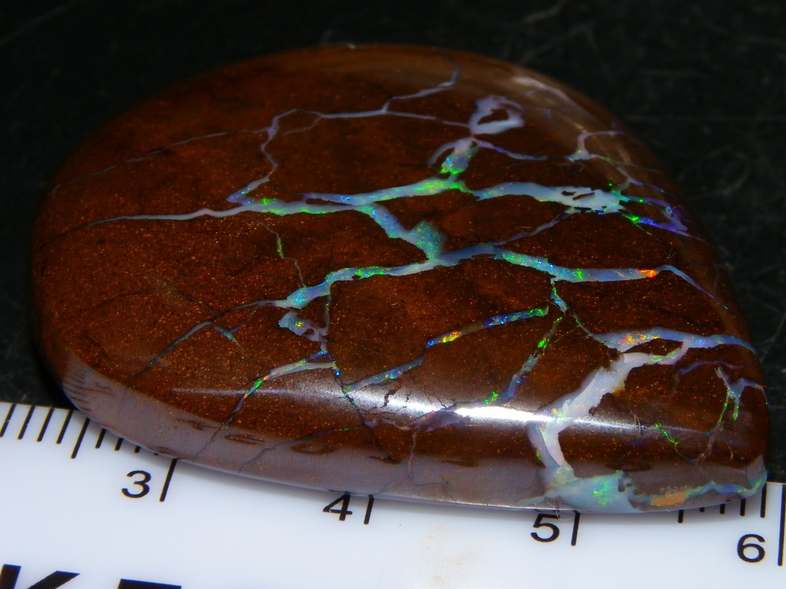 Quality Opalton Boulder Matrix Opal Freeform Cab 128.78cts Multicolour/Veins Qld