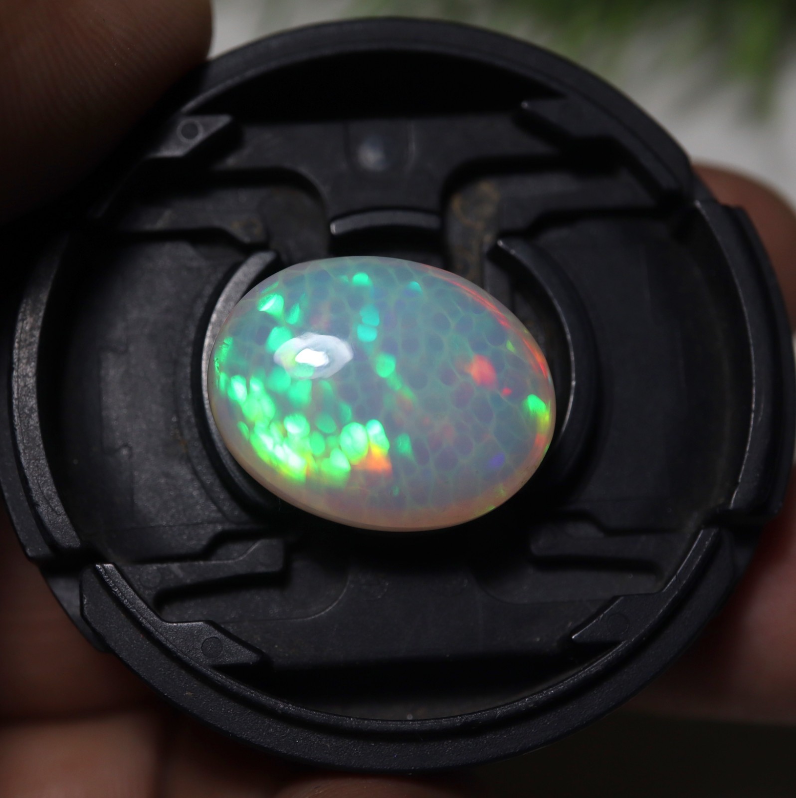 14.9 Cts 19.7×15.2MM Natural AAAA Multi Fire Ethiopian Opal Oval Shape Cabochon
