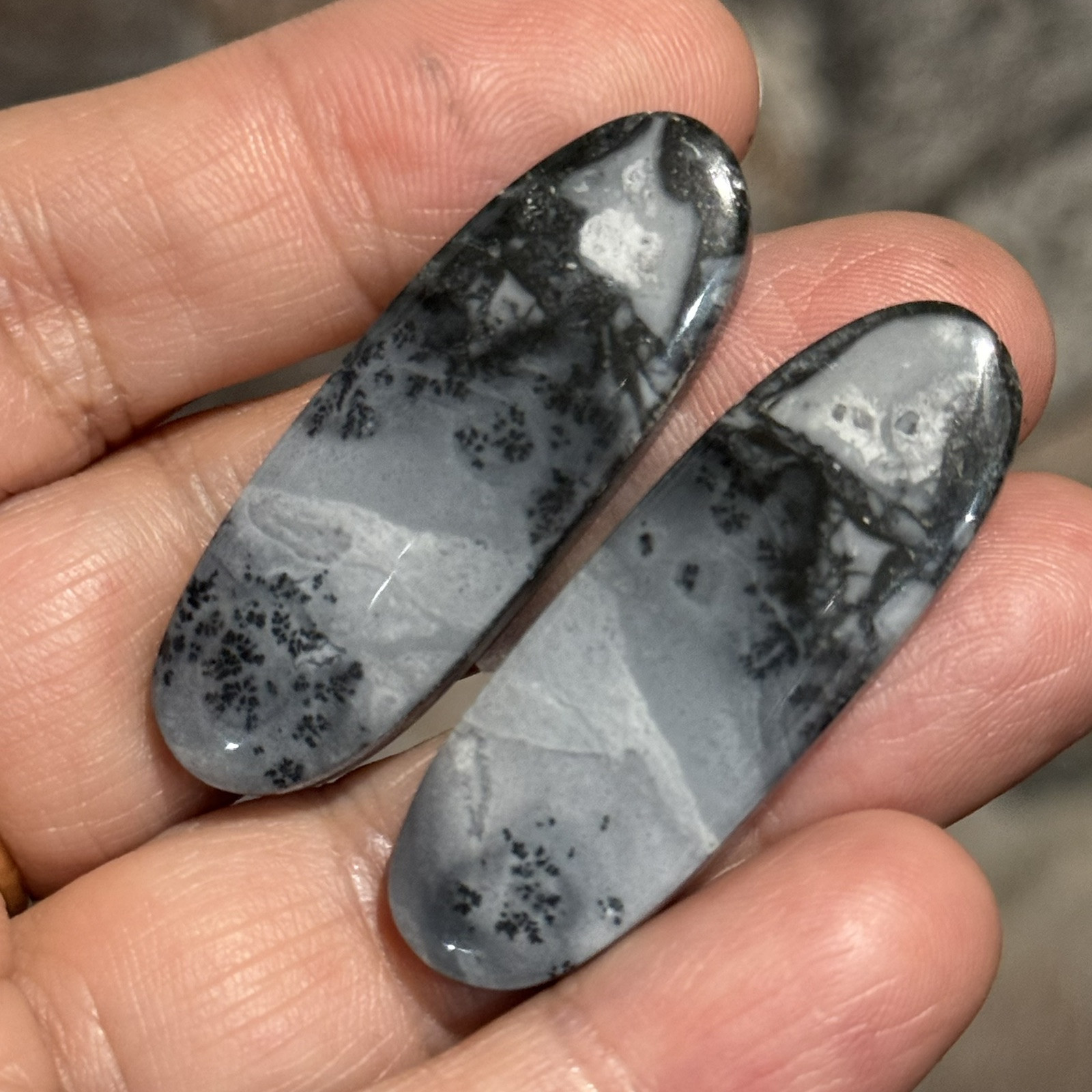 62ct 42x15x4.5mm Pair Fine Gray Scenic Oval Picture Maligano Jasper Cabochons