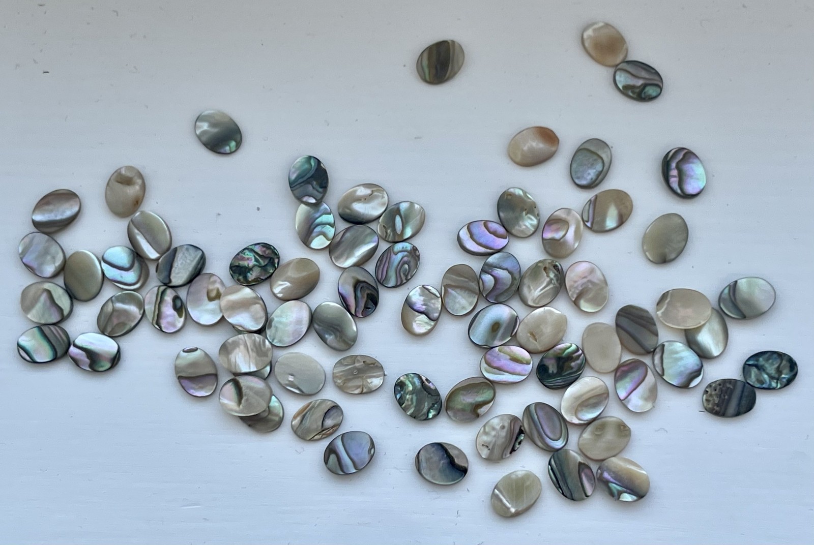 50 Abalone Cabochon Oval Shells (6×8 mm) Seashell Iridescent Paua Gemstone