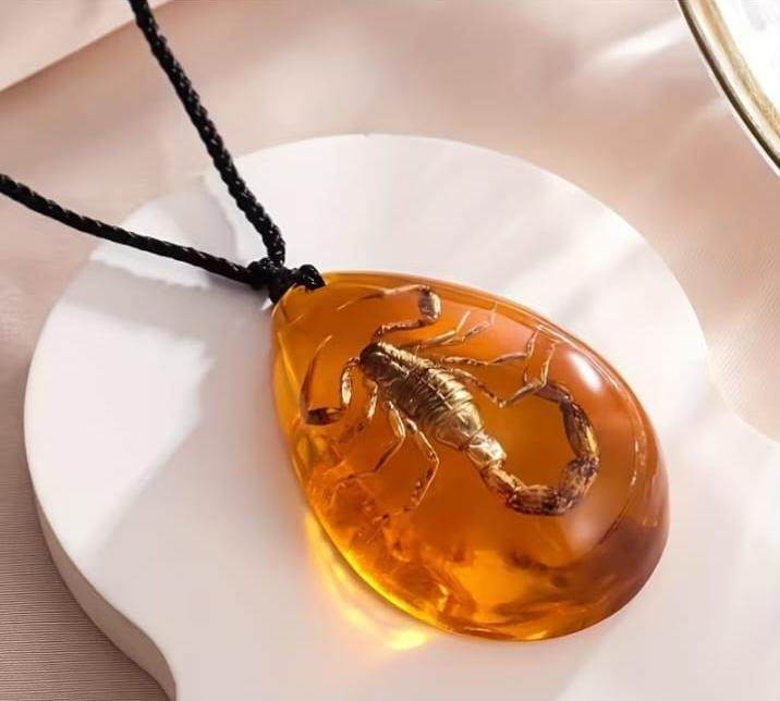 Real Scorpion Amber Resin Teardrop Pendant Necklace Vintage Insect Specimen Gift