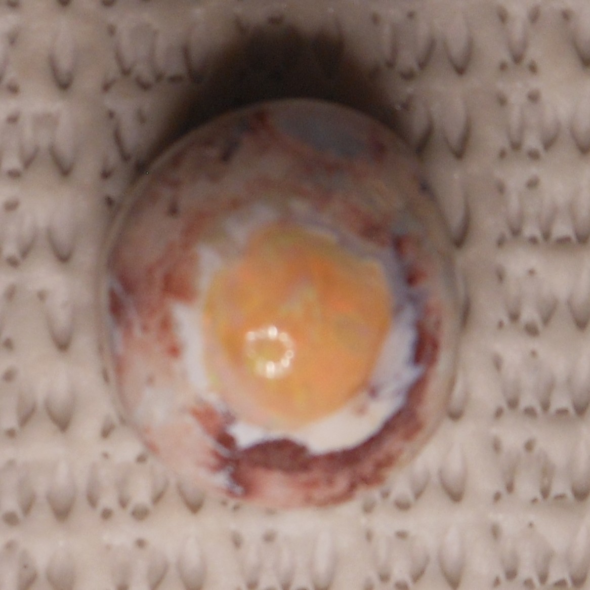 25.55ct Mexican Fire Opal Freeform in Host 19.2×16.9×13.4mm