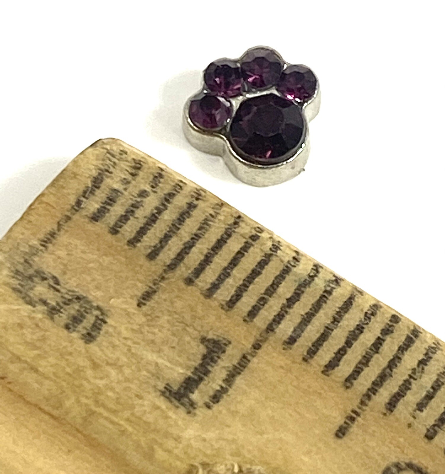 Paw Print Floater Crystal Floating Charms Tiny Glass Locket Jewelry Faceted Paws