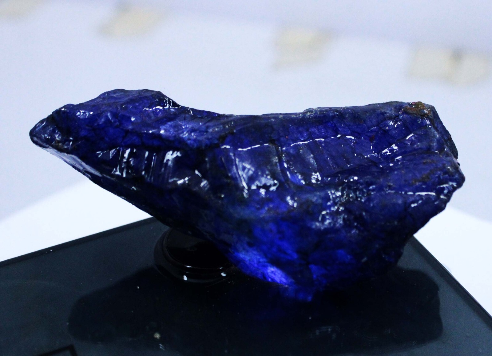 482 Ct Natural Tanzanite Blue Earth Mined Huge Rough CERTIFIED LOOSE GEMSTONE