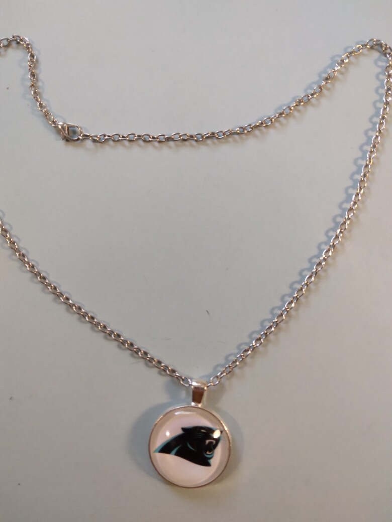 Carolina Panthers pendant on 19 1/2 inch Silver Necklace 249167