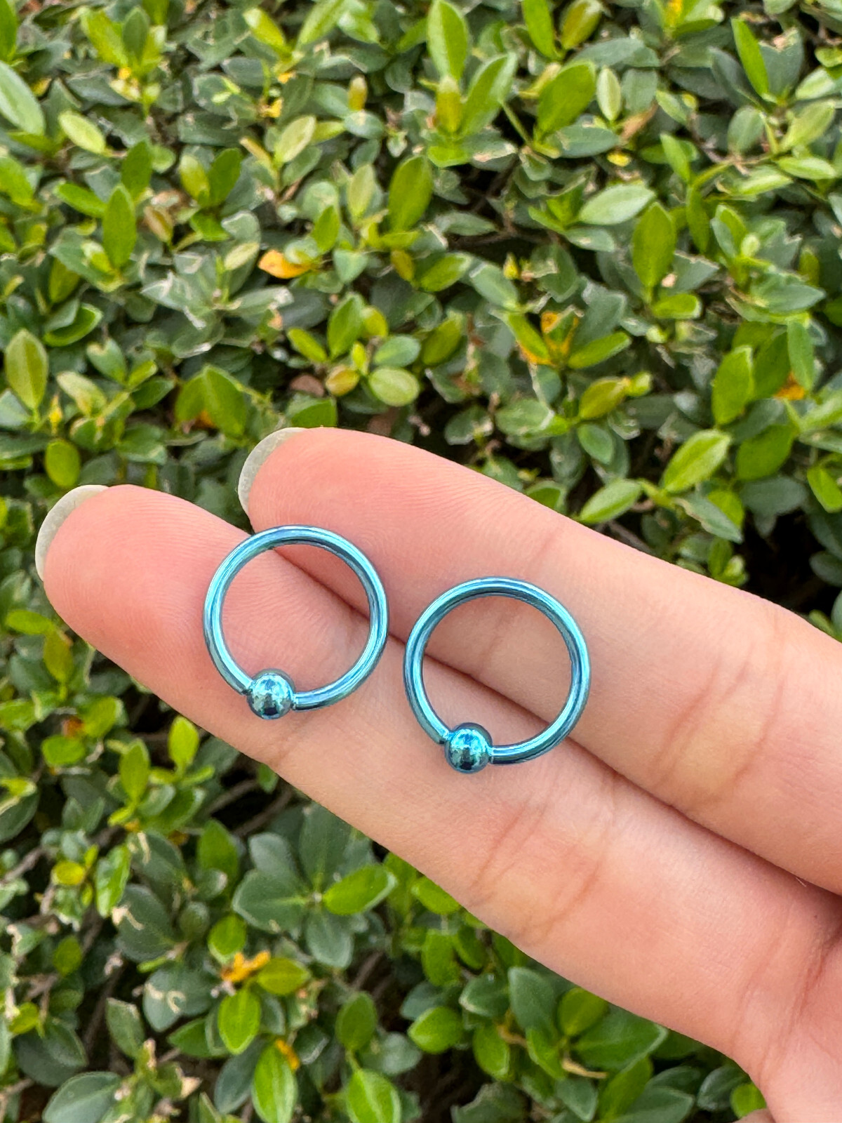 Captive Bead Ring surgical steel Pvd 14G Earrings Hoops Lip Belly Nipple 12PK