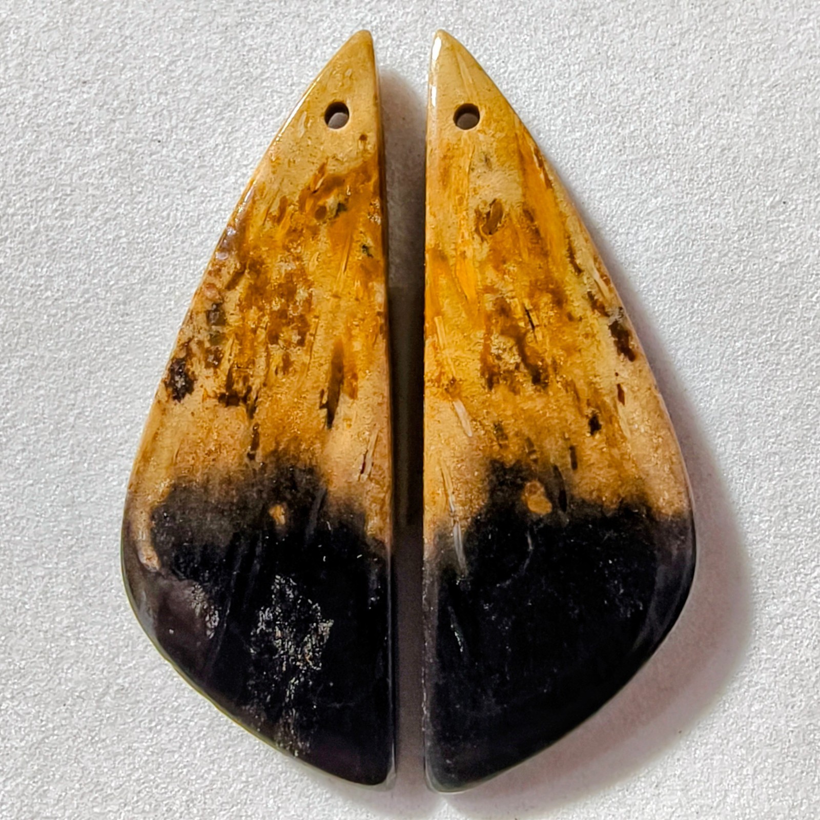 31 Cts Natural Fossilized Palm Root Drilled Pair Cabochon Gemstone 37.7X13.4 MM